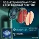 Máy Massage Cầm Tay SmartTrend MSCC Đấm Lưng Cao Cấp slide 2