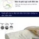 Gối Cao Su Non Người Lớn CECILA Chính Hãng slide 4