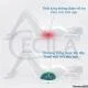 Gối Kê Lưng Cổ CECILA Cao Su Non Chính Hãng slide 5