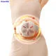 Máy Massage Bụng Bianstone WM215A slide 2
