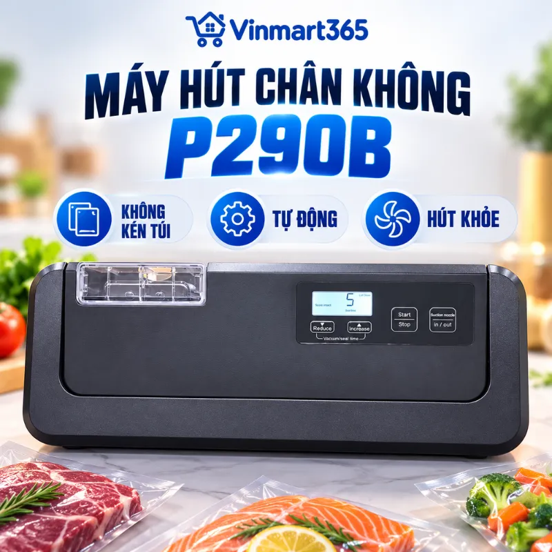 Máy hút chân không P290B