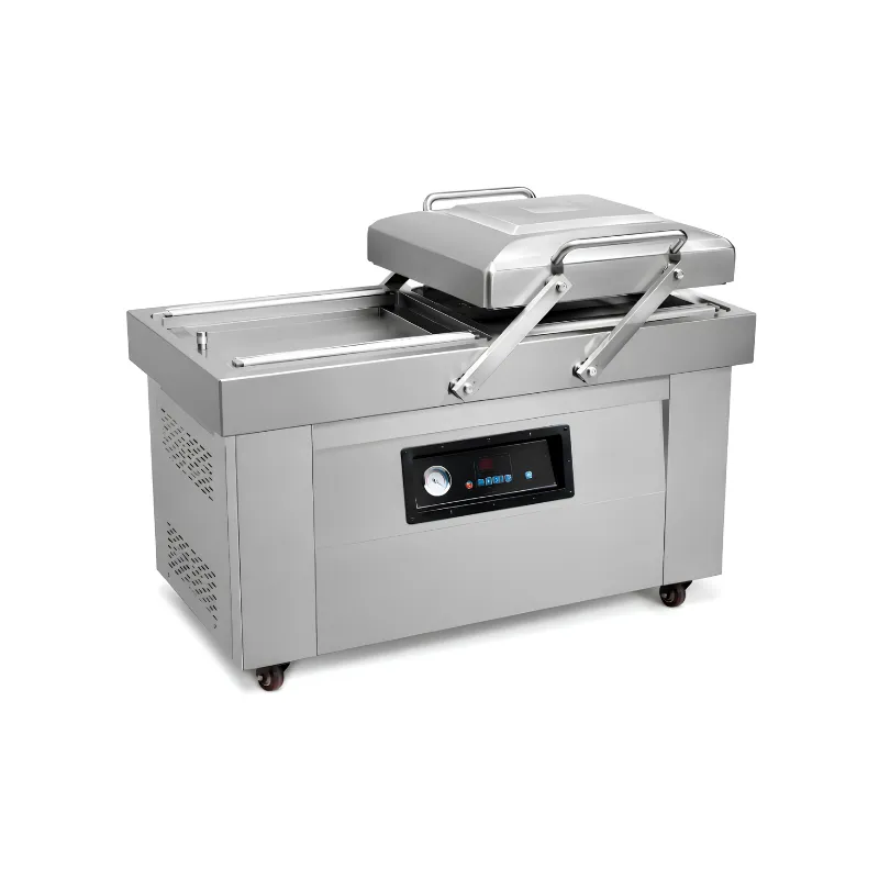Máy Hút Chân Không Công Nghiệp DZ-600/2SB