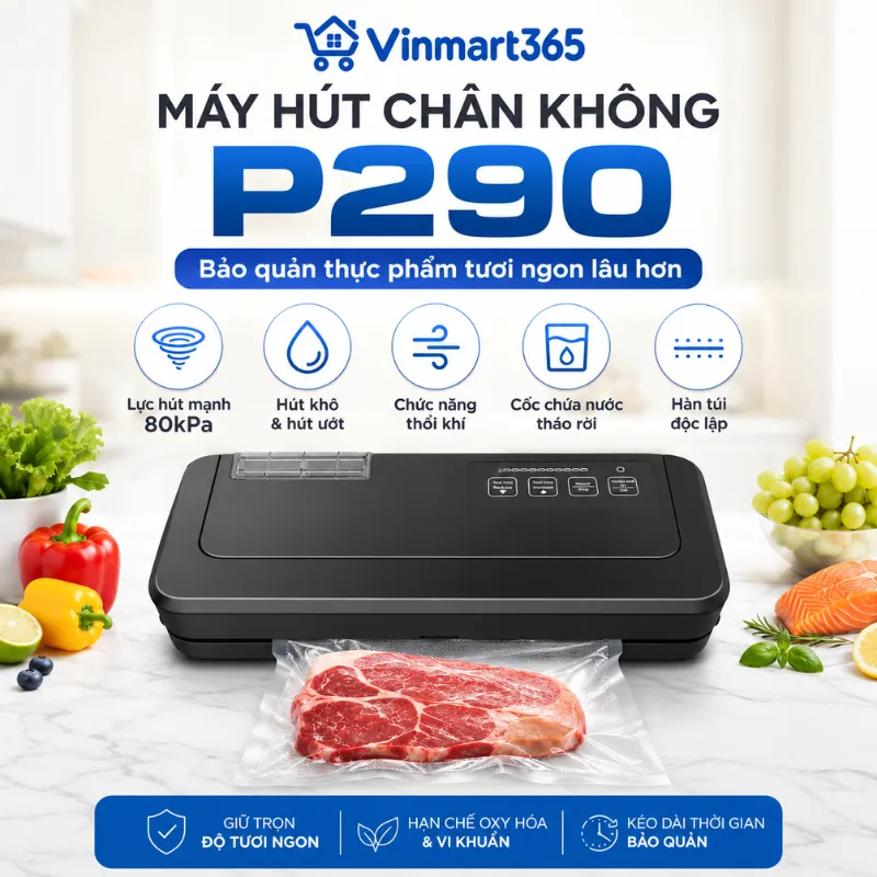 Máy hút chân không P290