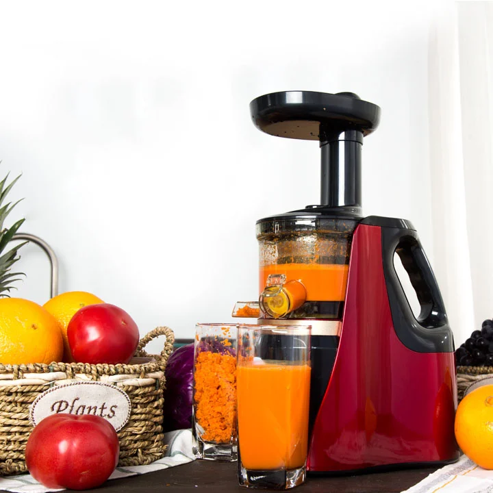 Máy Ép Chậm Hoa Quả SAVTM JE-07 