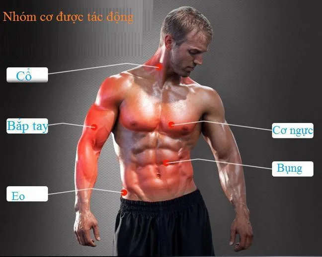 thanh-lo-xo-titan-tap-tay-luc-be-30kg-1m4G3-zWl8hw_simg_d0daf0_800x1200_max