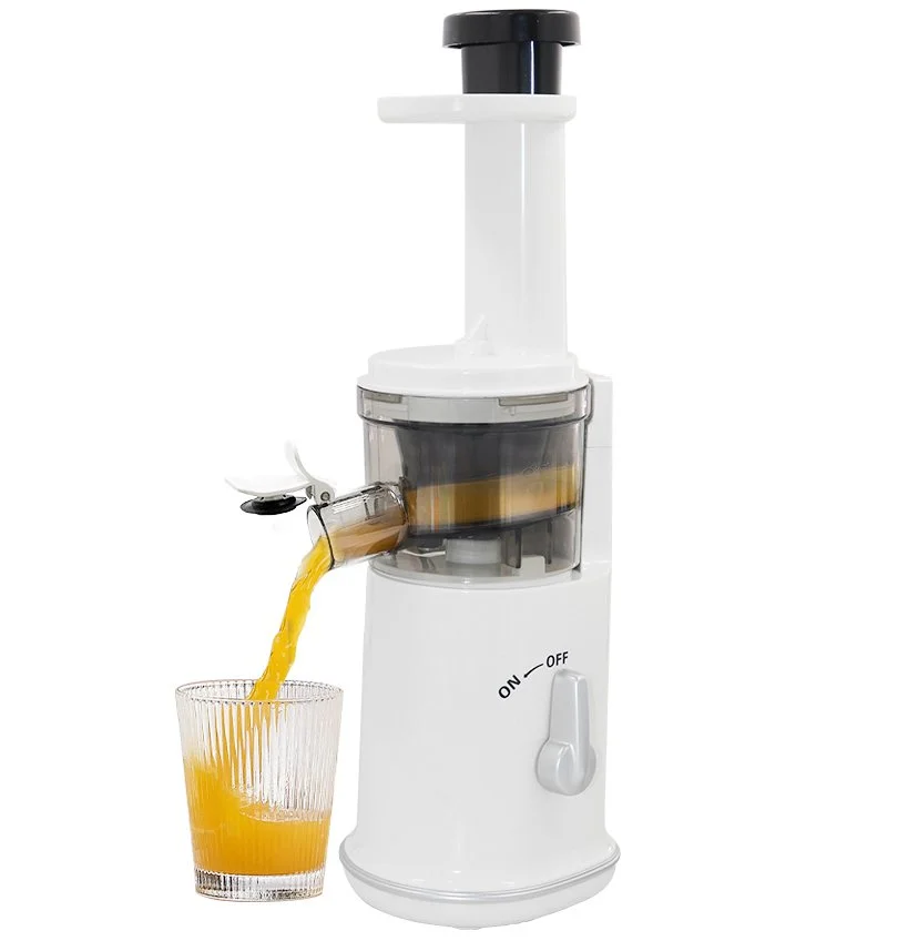 Máy Ép Chậm Mini Rapido RSJ120
