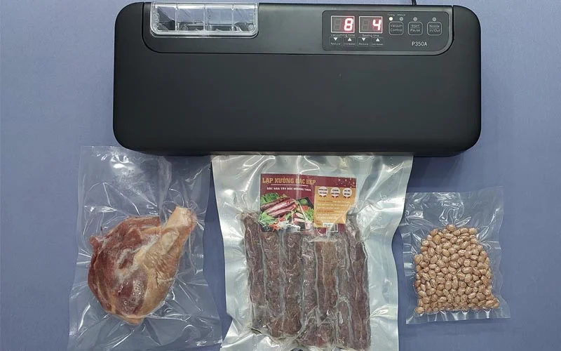 Máy Hút Chân Không P350A Bán Công Nghiệp Cao Cấp