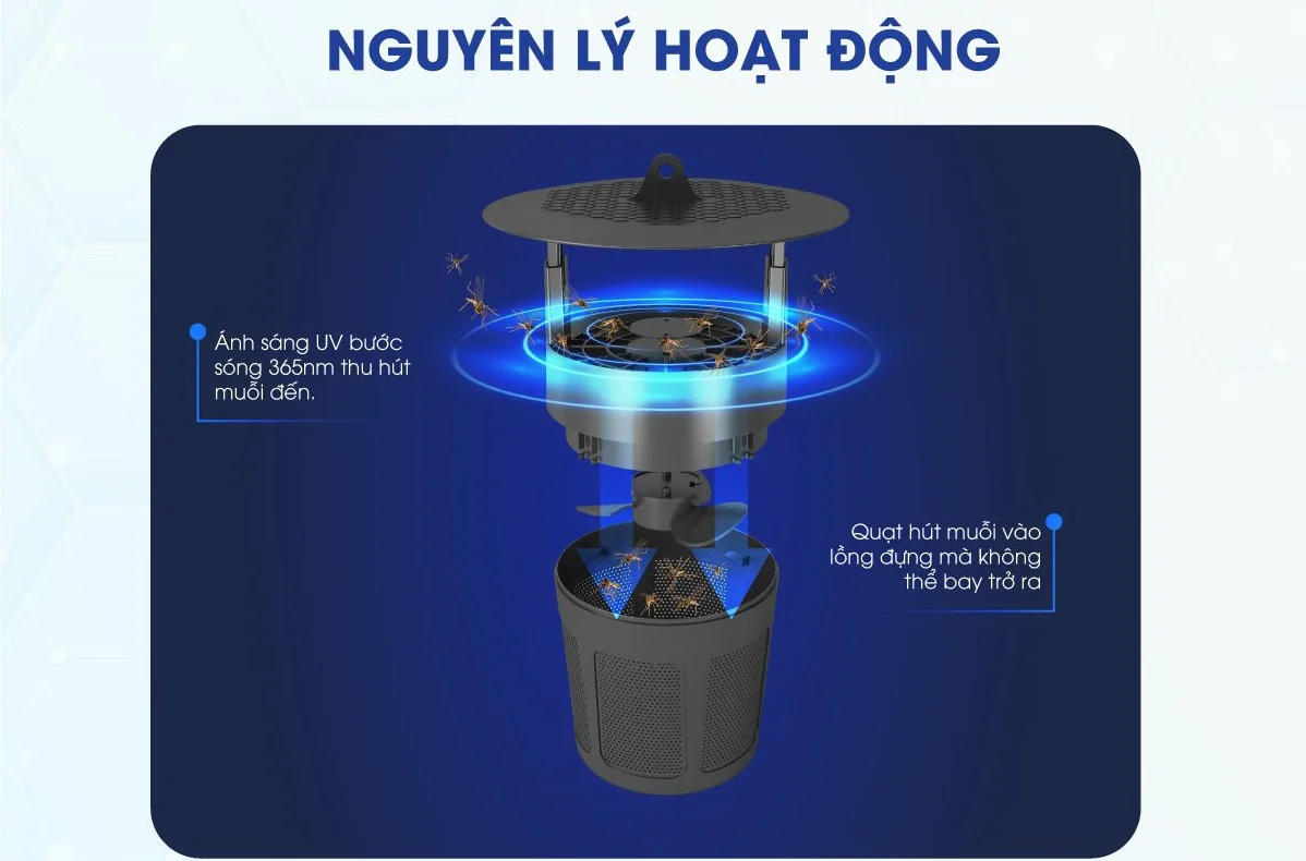 Đèn Bắt Muỗi Rạng Đông DBM01 5W