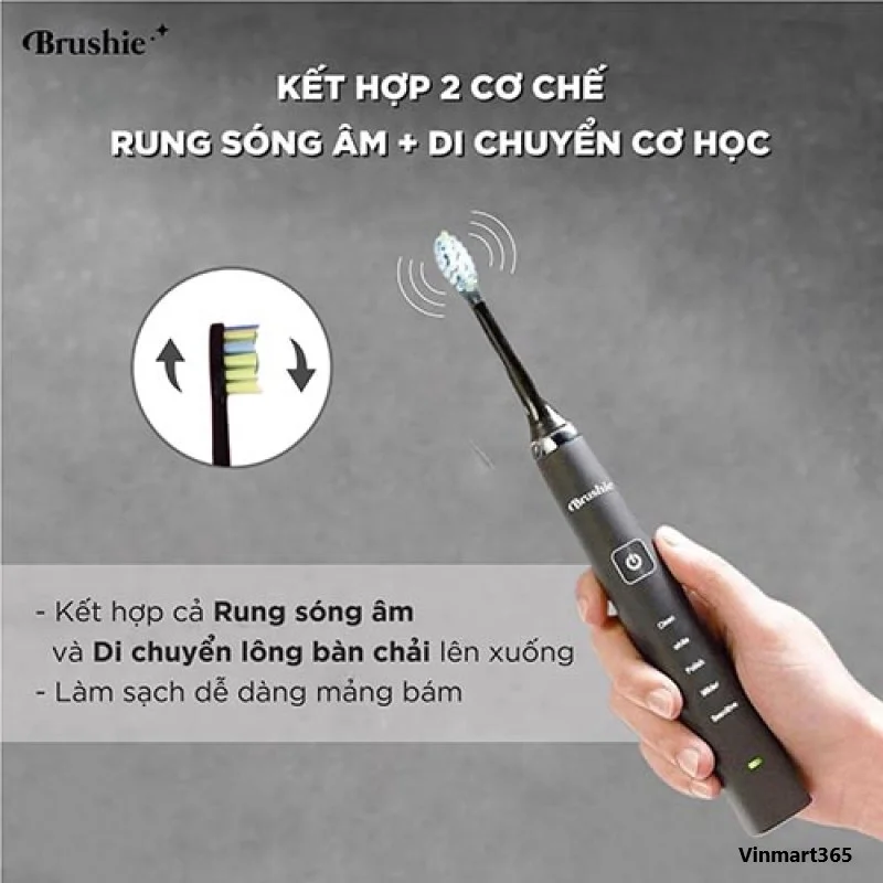 3-cau-tao-nguyen-ly-hoat-dong-cua-ban-chai-dien-brushie