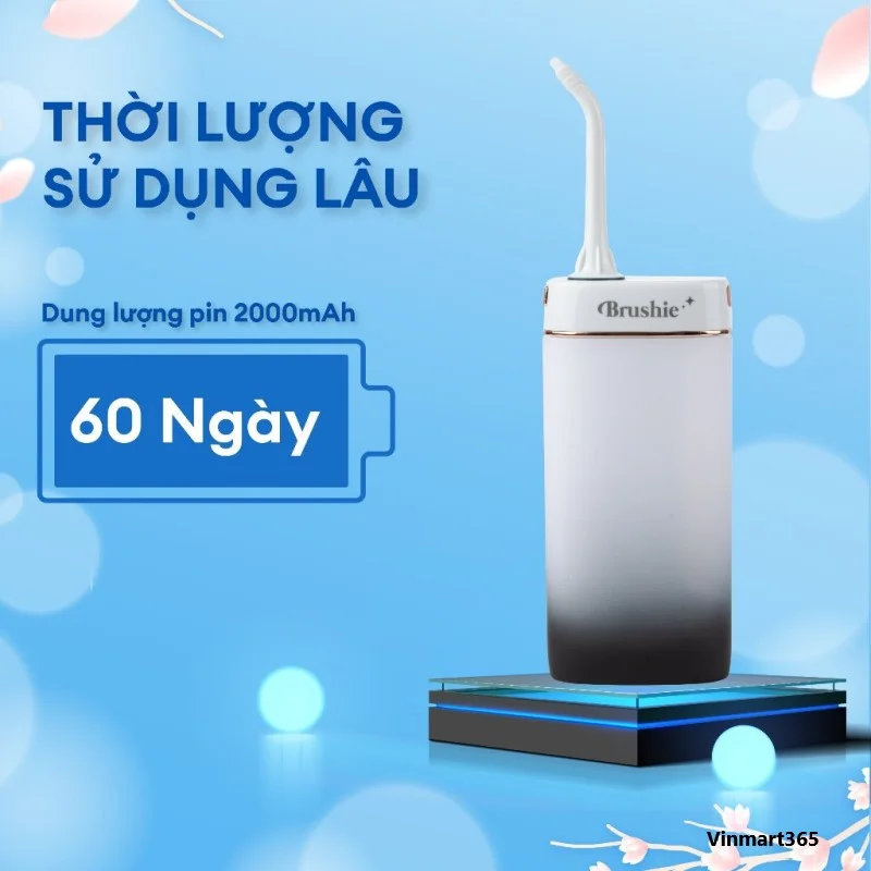 vn-11134207-7r98o-lq1fl1p1736ab4