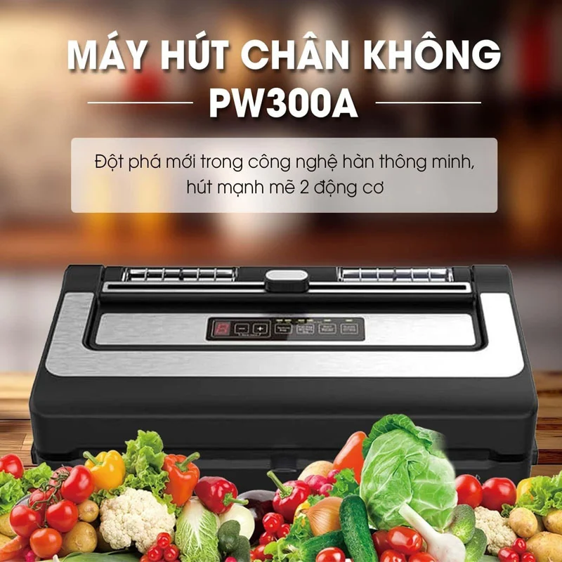 máy hút chân không pw300a