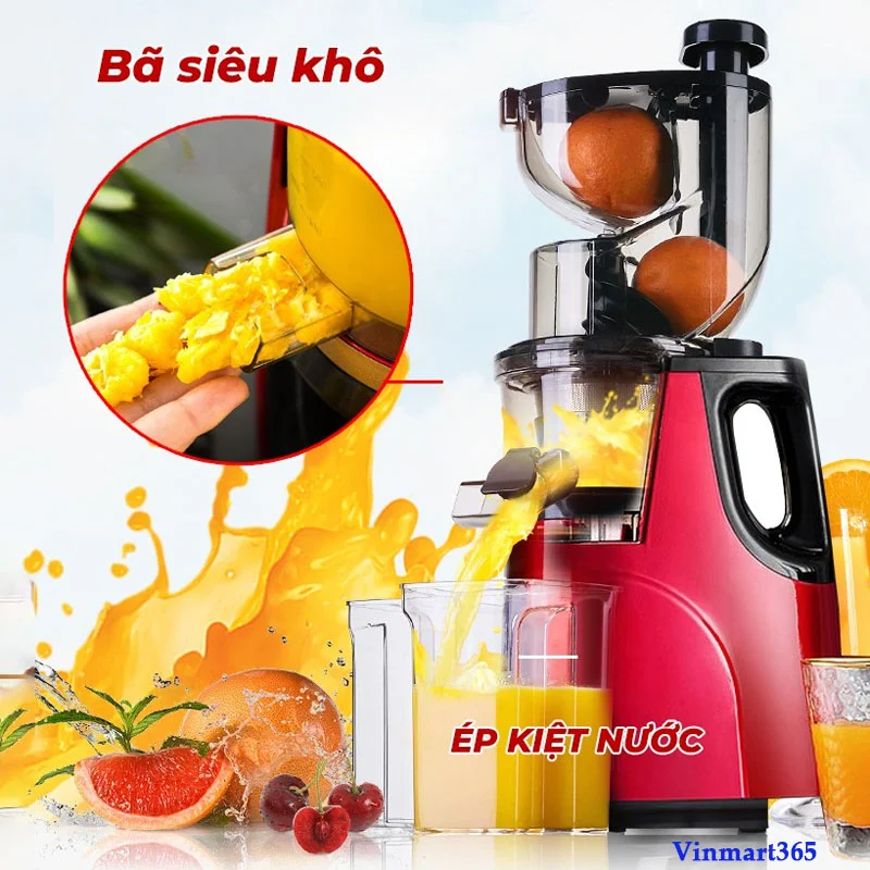 Máy ép chậm hoa quả