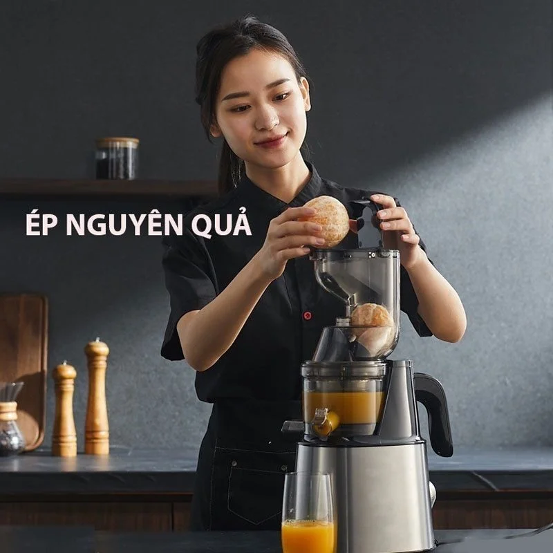 Máy ép chậm hoa quả