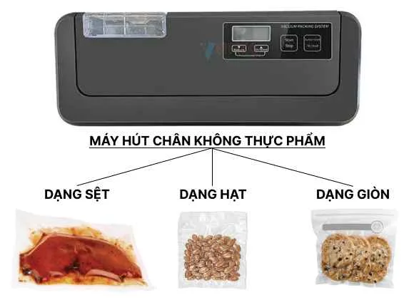 máy hút chân không P290B