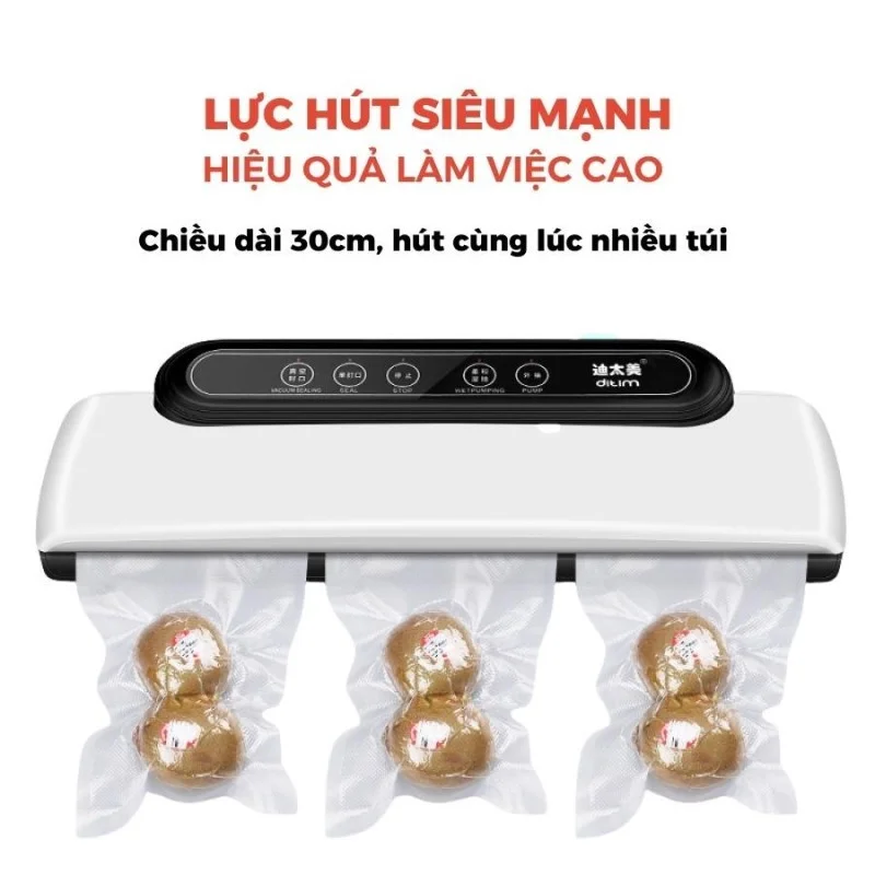 Máy hút chân không DTM-600