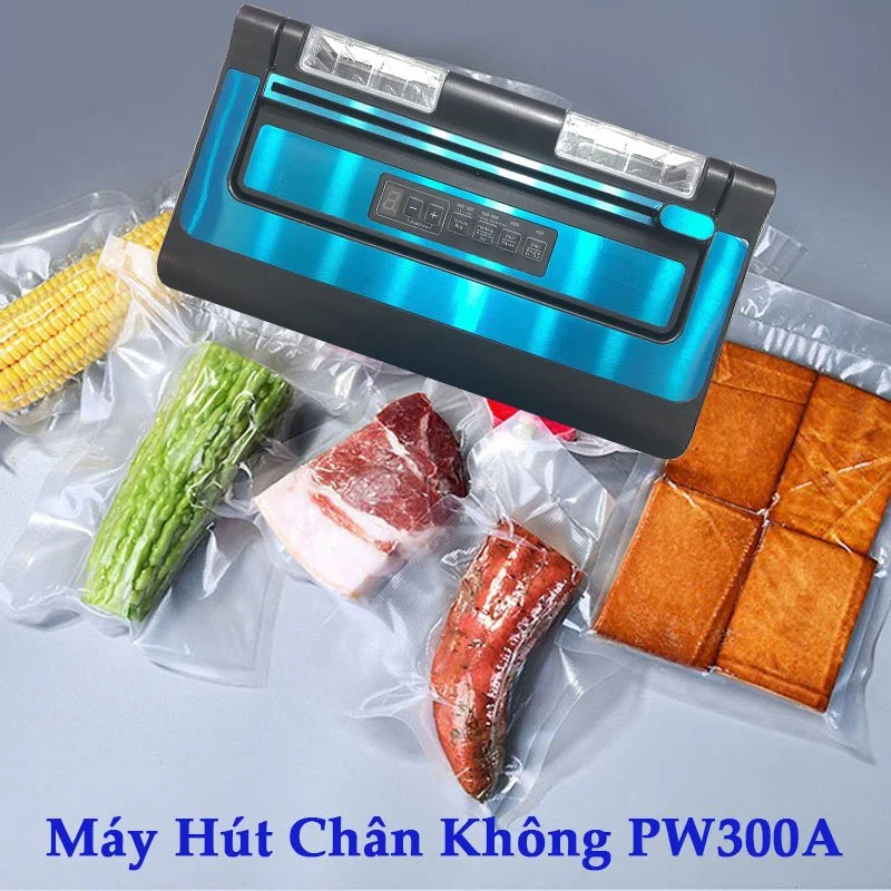 máy hút chân không pw300a