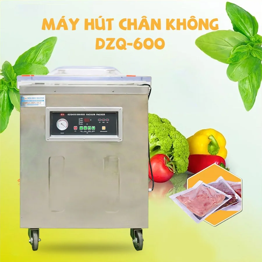Máy hút chân không DZQ600