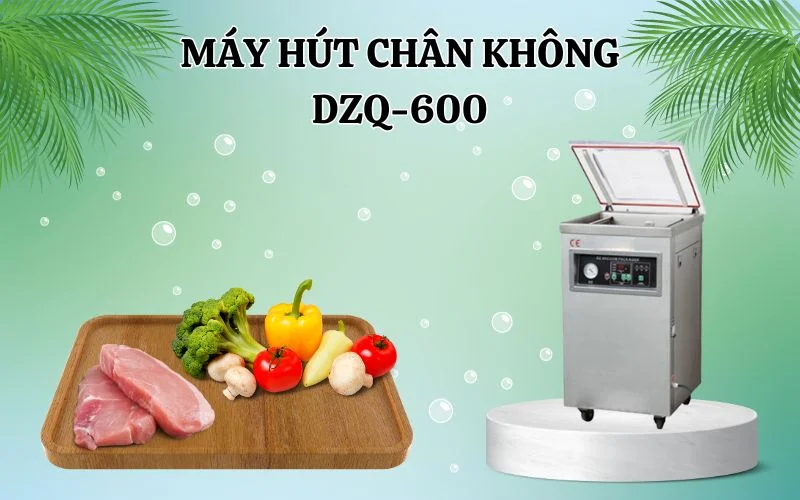[Review] Máy Hút Chân Không DZQ600 Công Nghiệp Đời Nâng Cấp
