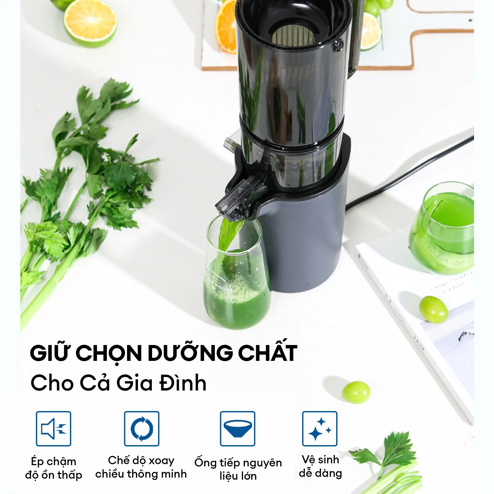 Máy ép chậm Gilux