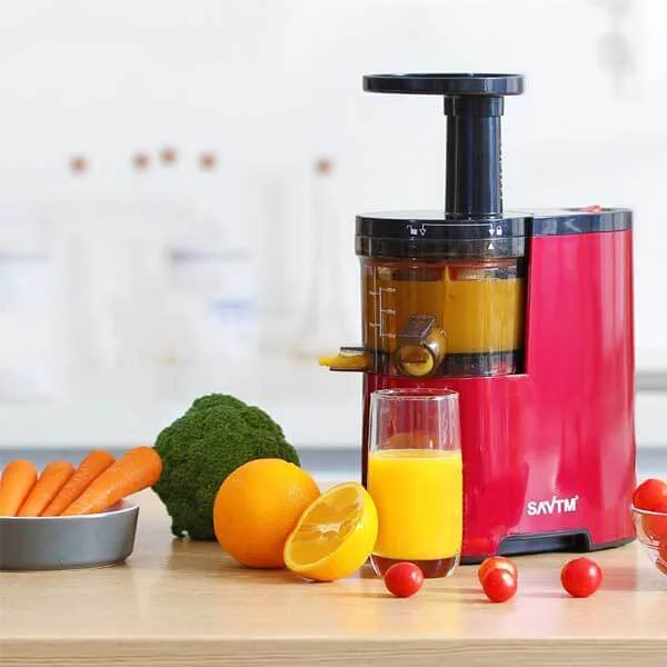 Máy ép chậm SAVTM JE-07