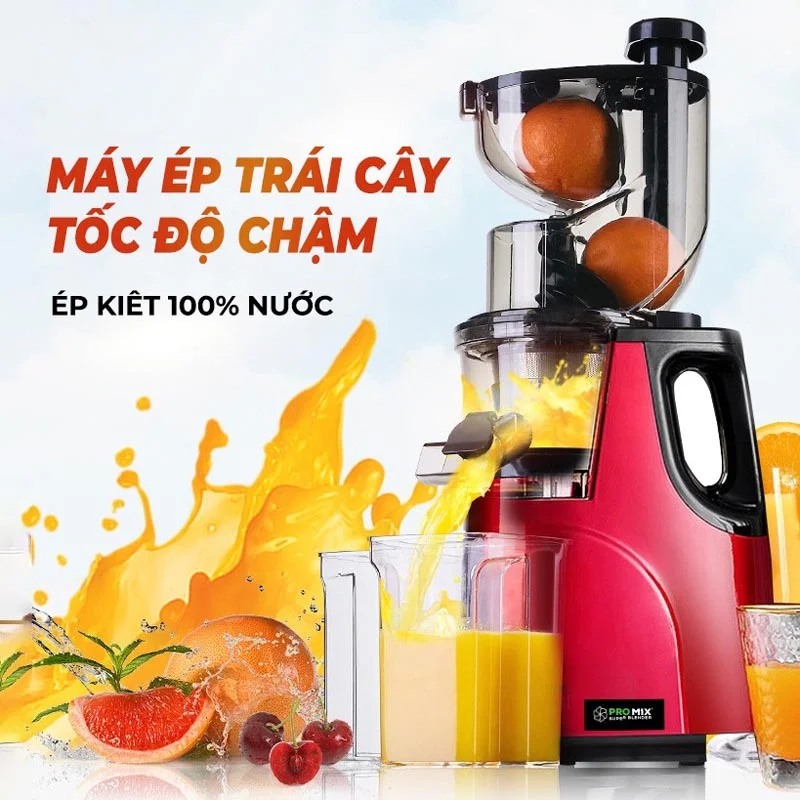 Máy ép chậm Hongxin RH312