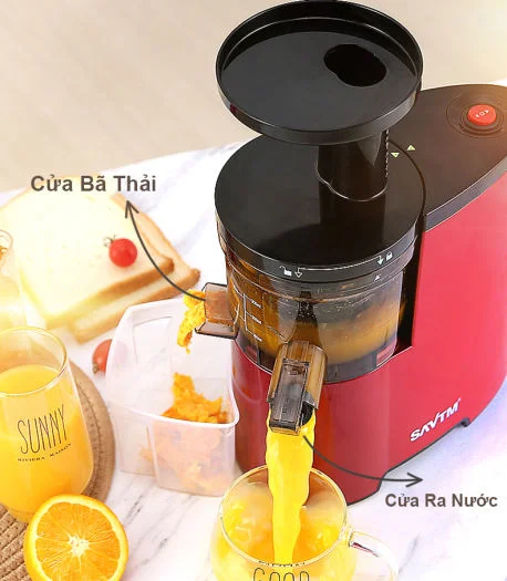 Máy ép chậm hoa quả SAVTM JE-07