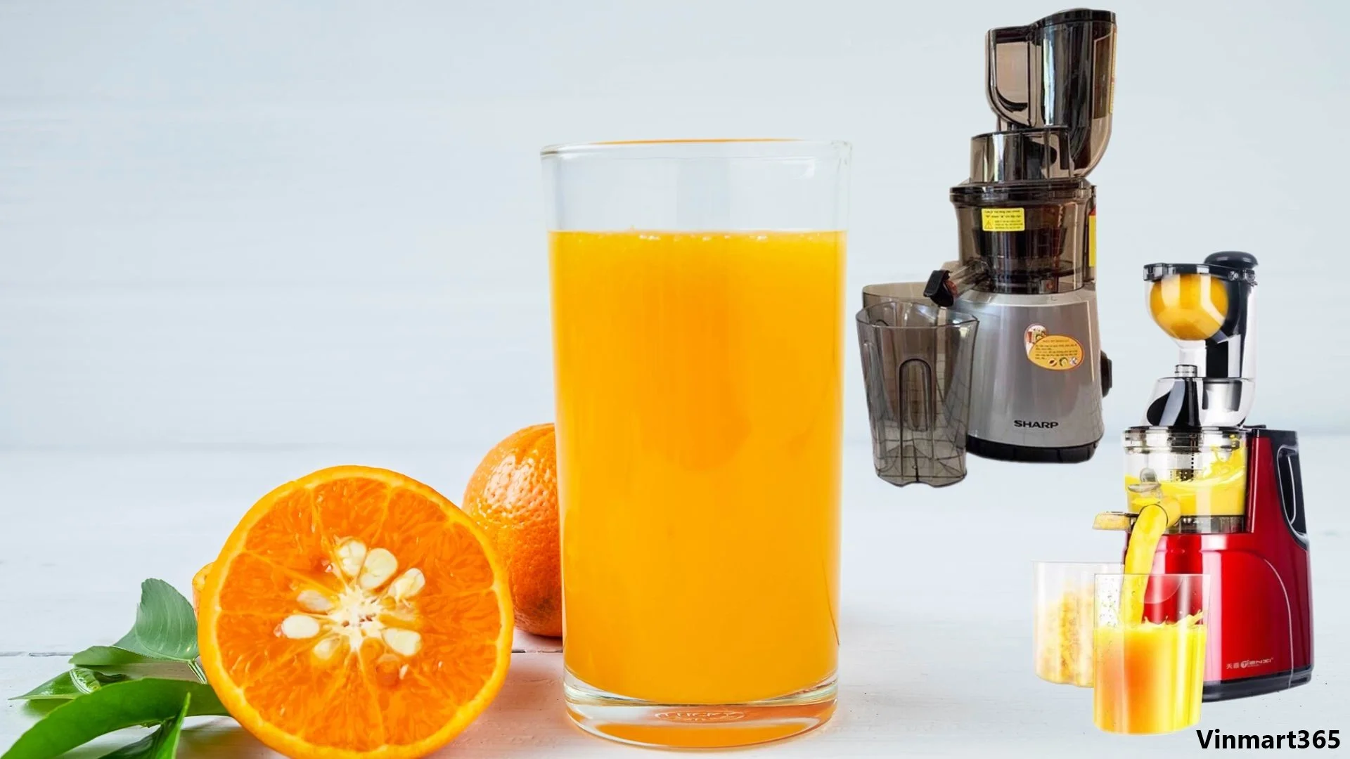 Những Địa Chỉ Bán Máy Ép Tốc Độ Chậm Uy Tín Tốt Nhất Hiện Nay