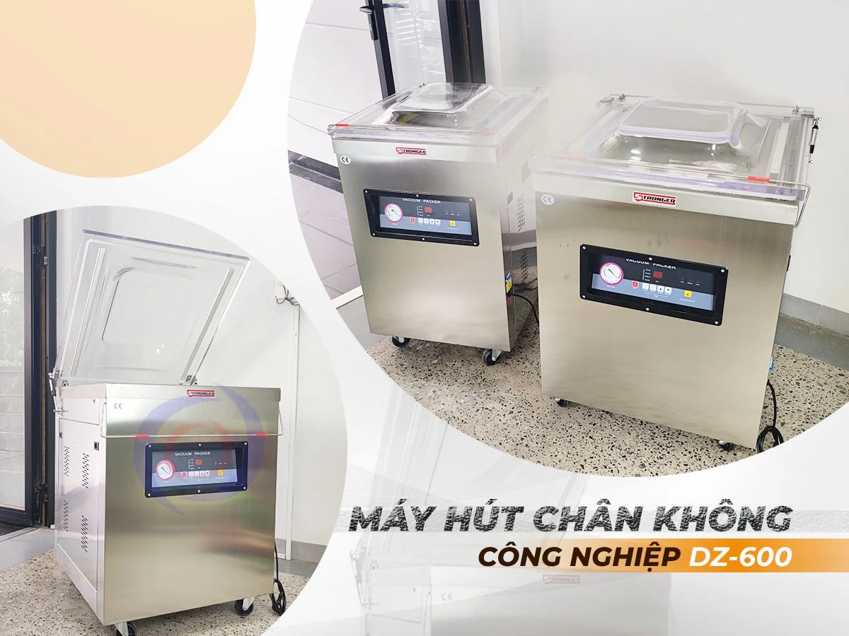 Máy hút chân không DZ600 một buồng hút công nghiệp