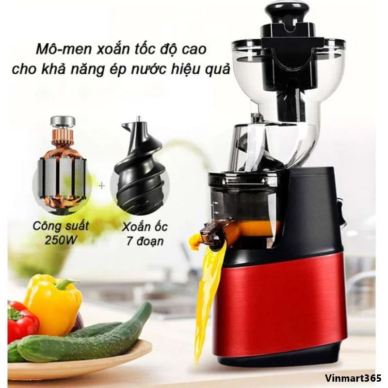 Top 5 Máy Ép Chậm Hoa Quả SAVTM Đáng Mua Nhất Trên Thị Trường