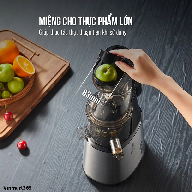 Máy ép chậm Elmich trái cây