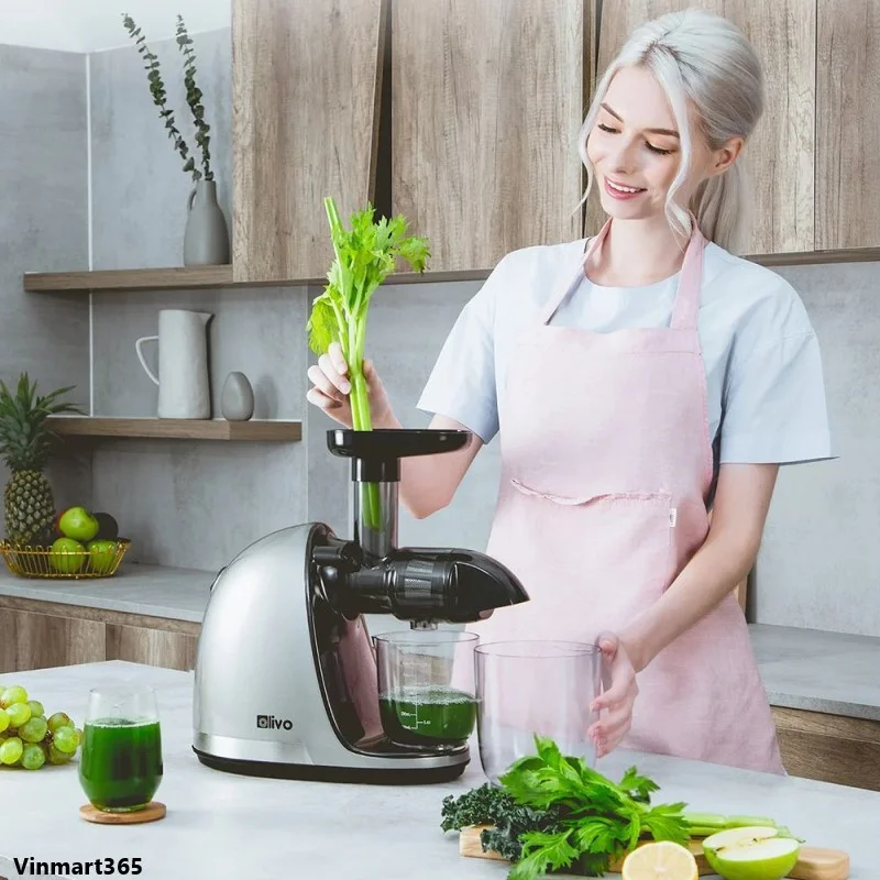 Máy ép chậm Olivo SJ22