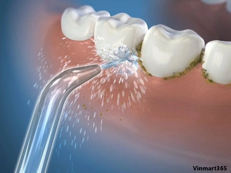 đa dạng của máy tăm nước Waterpik