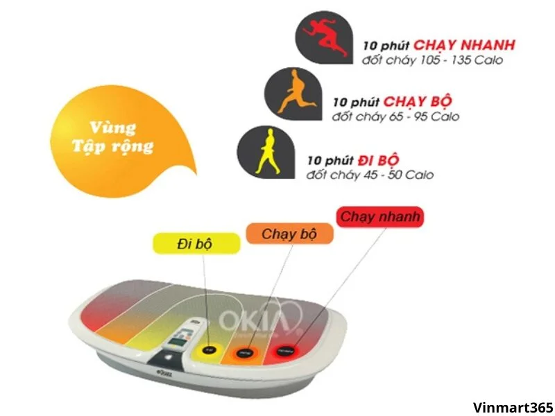 sử dụng máy rung lắc toàn thân Okia E-Jazz