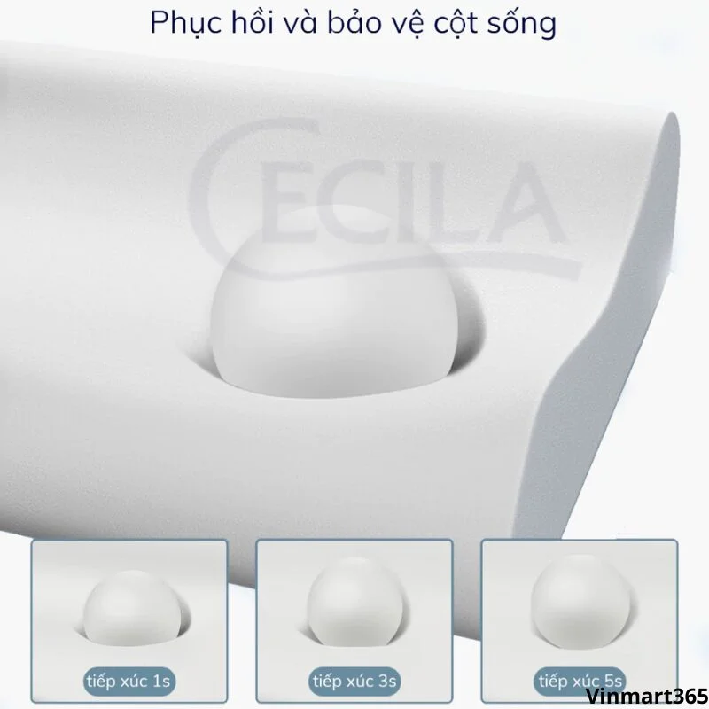 Gối cao su non người lớn cao cấp