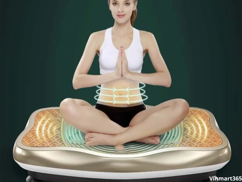 máy rung toàn thân chính hãng
