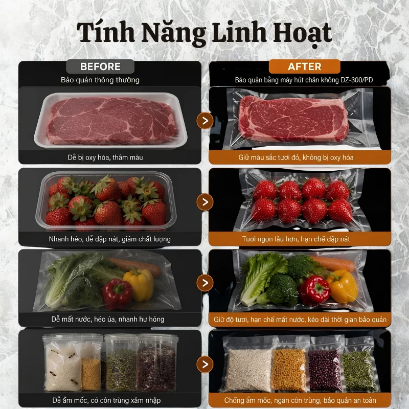 may-hut-chan-khong-cong-nghiep-dz-300-pd-5