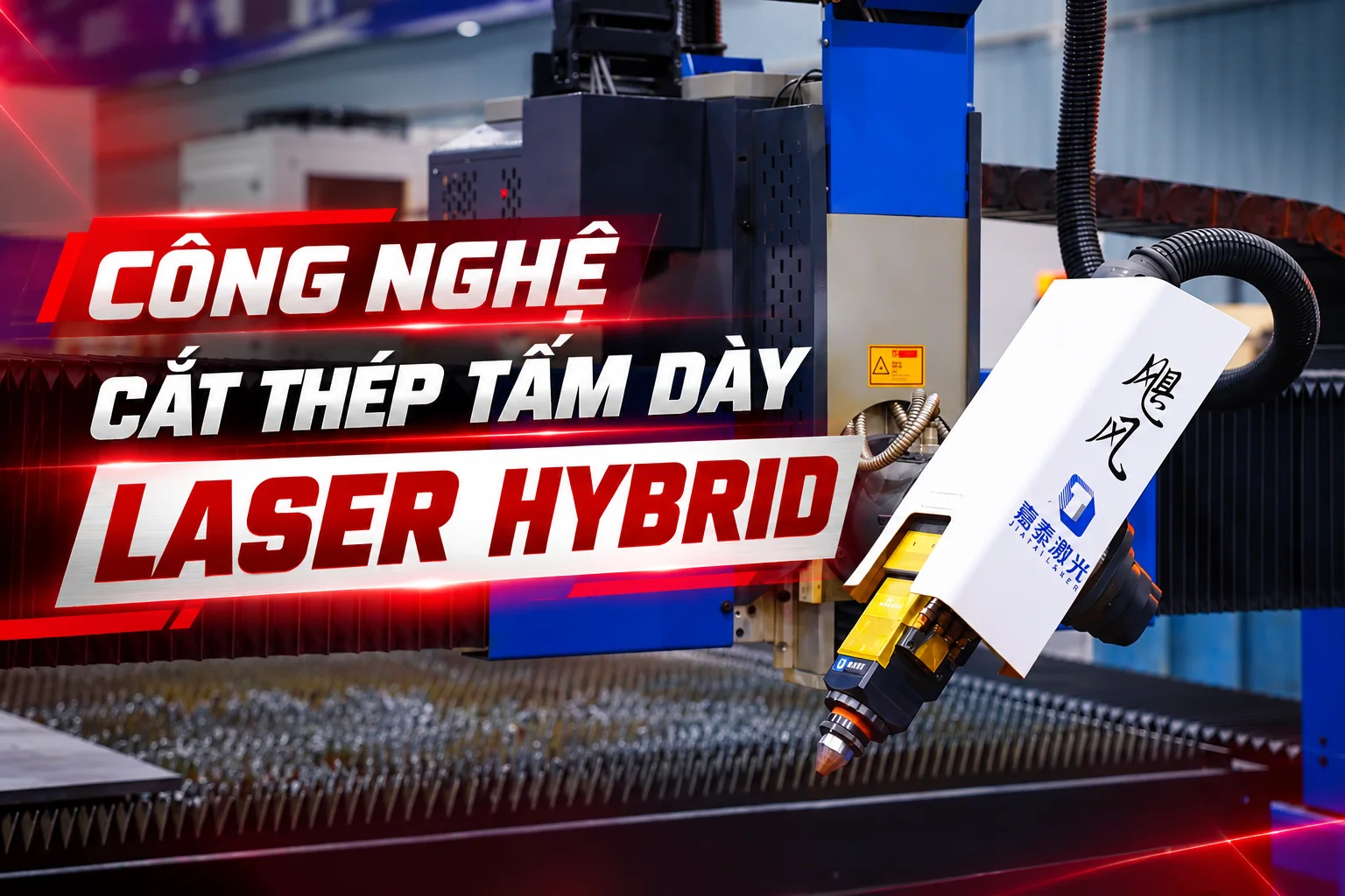 Ảnh thumbnail