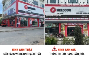 cANH-BAO-2-300x201