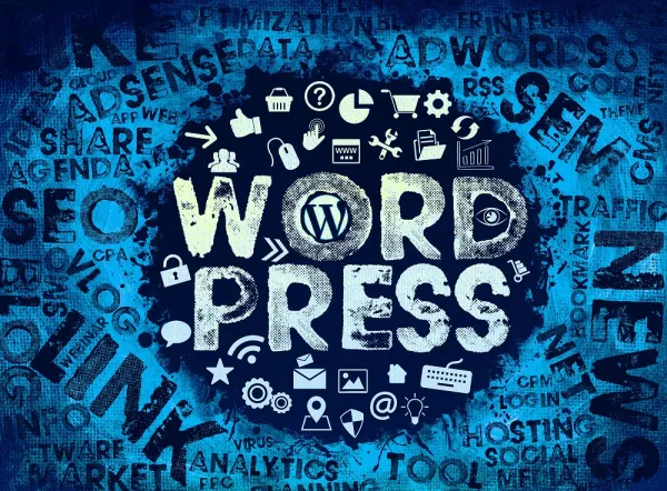 6-sai-lam-khi-seo-wordpress