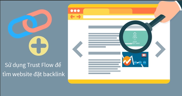 tim-backlink-voi-trust-flow