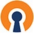 Open VPN