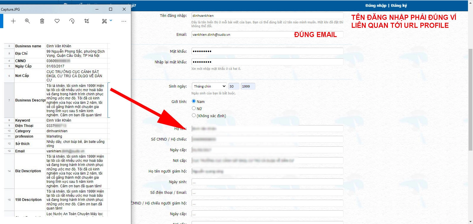 Phương pháp tạo tín hiệu Tác giả - SEO Profile tác giả
