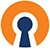 Open VPN