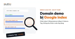 Domain demo và bài học bị Google index