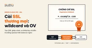 Cài SSL thương mại: wildcard và OV