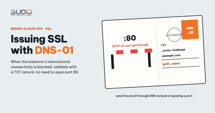 Issuing SSL with DNS-01 when the server cannot reach the internet