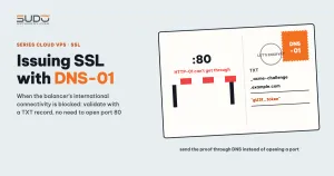Issuing SSL with DNS-01 when the server cannot reach the internet