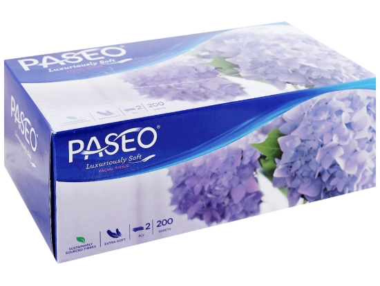 4r018-hop-giay-rut-cao-cap-200-to-paseo