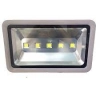 den-pha-floodlingt-250w