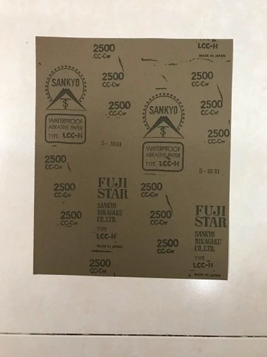 giay-nham-fuijistar-2500